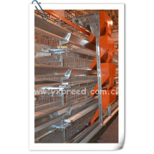 China Best Hot Galvanized Battery Layer Cage